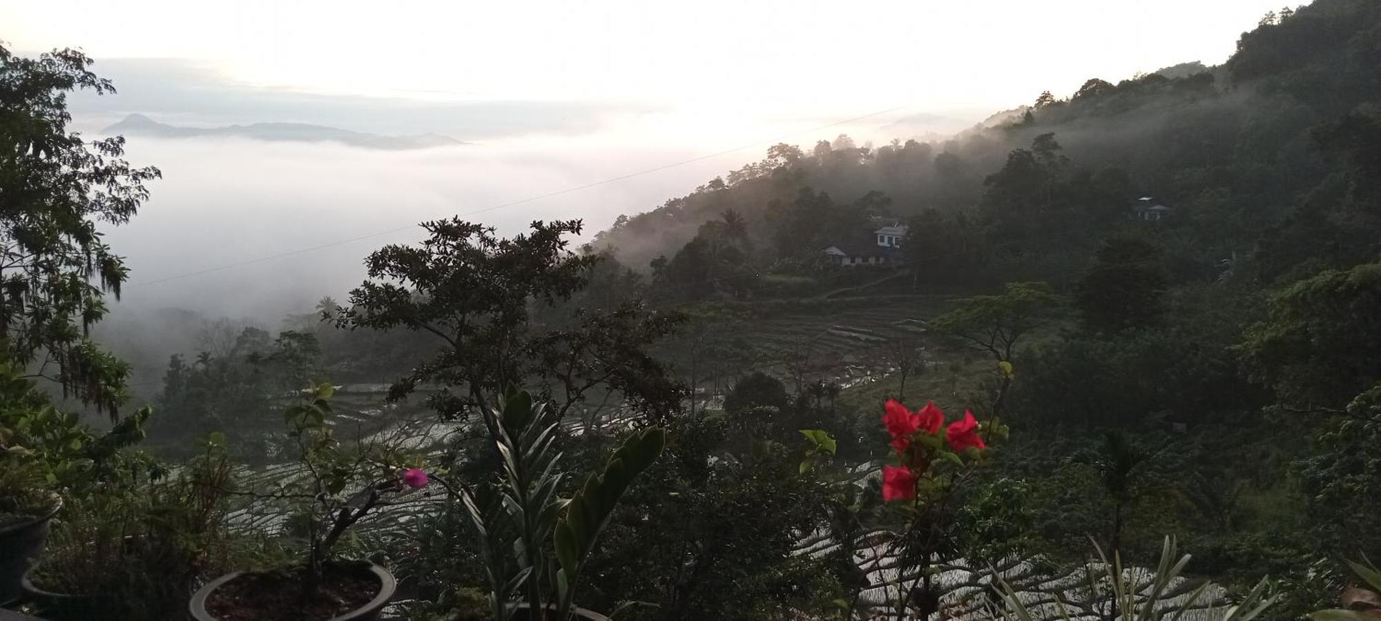 Kandy Ivy Mountain View Resort Ruang foto