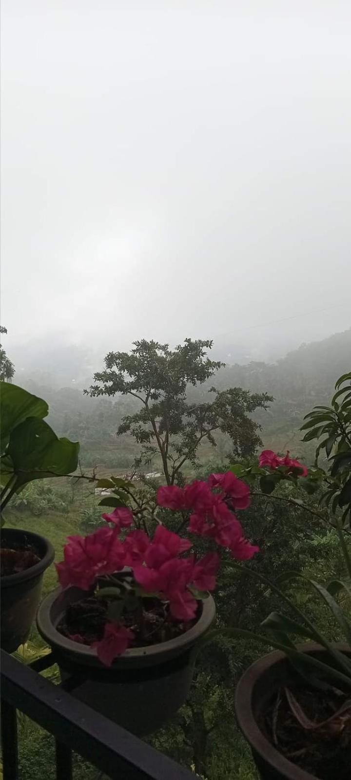 Kandy Ivy Mountain View Resort Bagian luar foto